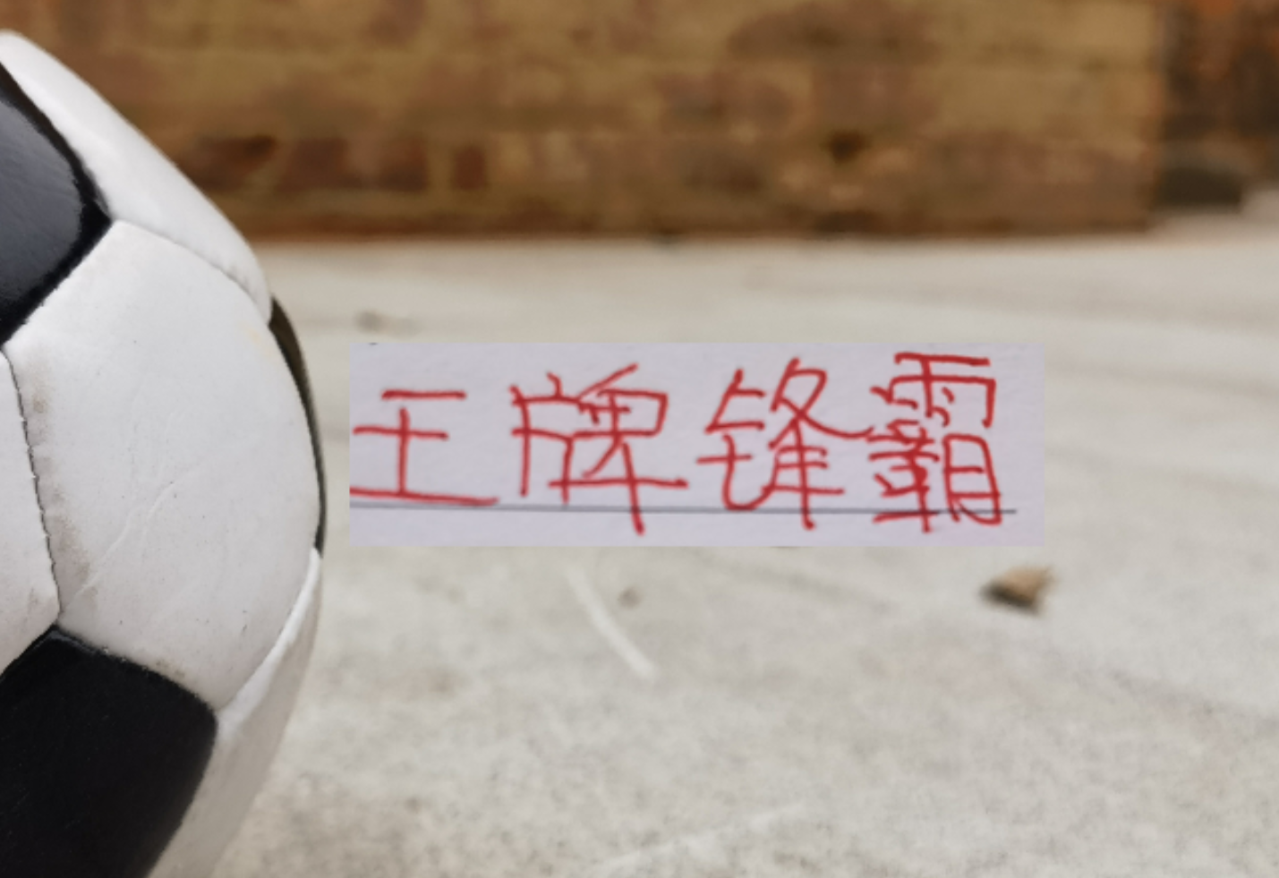 黑白直播-王牌锋霸武磊 莱昂纳多复出！海港就差蒋光太 就能组建最强阵容了